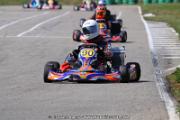 20110501_ales_agnus (2186)